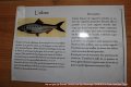 Gens de Garonne (62)